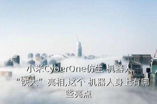  小米CyberOne仿生 機器人“鐵大”亮相,這個 機器人身上有哪些亮點
