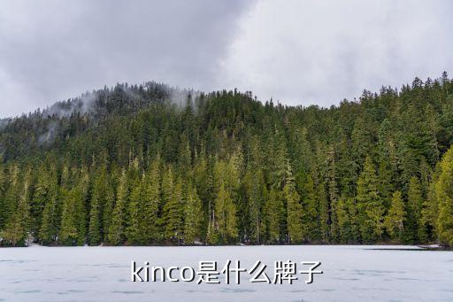 國(guó)尚自動(dòng)化公司,名字大全!高端自動(dòng)化設(shè)備公司名單大全