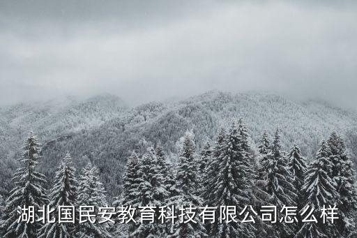 湖北國民安教育科技有限公司怎么樣
