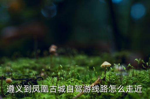 遵義到鳳凰古城自駕游線路怎么走近
