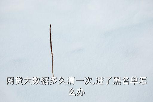 網(wǎng)貸大數(shù)據(jù)多久清一次,進了黑名單怎么辦