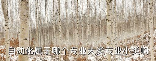 自動(dòng)化具體是什么專業(yè)的,請(qǐng)問自動(dòng)化是什么專業(yè)?