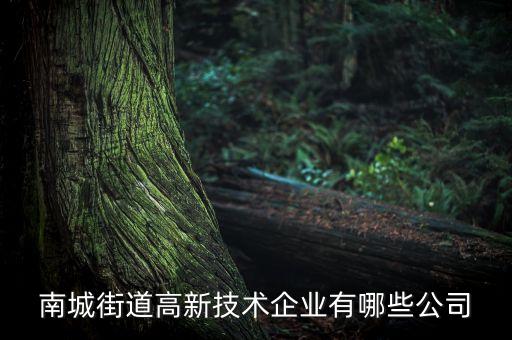 南城街道高新技術(shù)企業(yè)有哪些公司