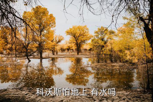 掃地機器人 有水