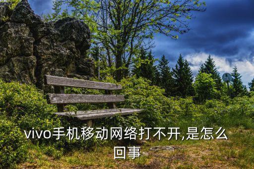vivo手機(jī)移動網(wǎng)絡(luò)打不開,是怎么回事