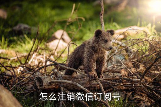 微信公眾號(hào)注銷,微信公眾號(hào)怎么注銷?