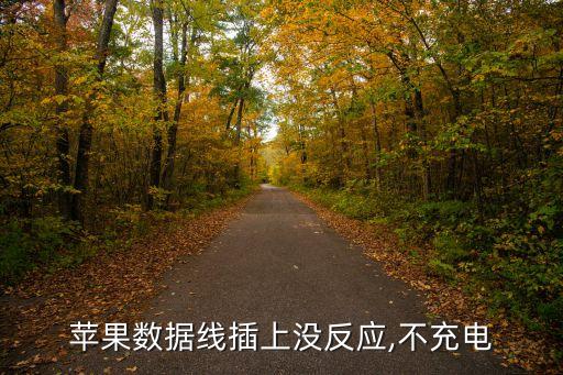 數(shù)據(jù)線突然不能充電了,數(shù)據(jù)線突然不能充電怎么辦?