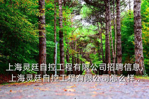 上海靈廷自控工程有限公司招聘信息,上海靈廷自控工程有限公司怎么樣...