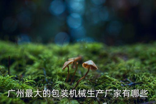 廣州最大的包裝機械生產(chǎn)廠家有哪些