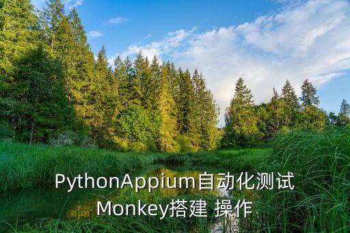 PythonAppium自動(dòng)化測(cè)試Monkey搭建 操作