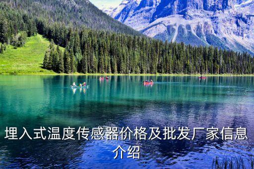埋入式溫度傳感器價格及批發(fā)廠家信息介紹