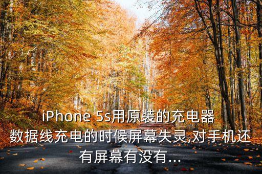 iPhone 5s用原裝的充電器 數(shù)據(jù)線充電的時(shí)候屏幕失靈,對(duì)手機(jī)還有屏幕有沒有...