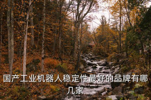 國產工業(yè)機器人穩(wěn)定性最好的品牌有哪幾家