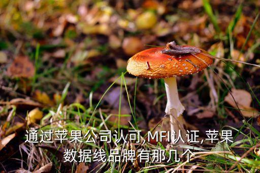 數(shù)據(jù)線磁吸收納,磁吸數(shù)據(jù)線的危害有哪些?