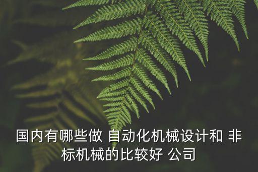 國(guó)內(nèi)有哪些做 自動(dòng)化機(jī)械設(shè)計(jì)和 非標(biāo)機(jī)械的比較好 公司
