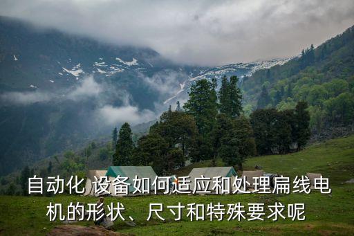  自動(dòng)化 設(shè)備如何適應(yīng)和處理扁線電機(jī)的形狀、尺寸和特殊要求呢