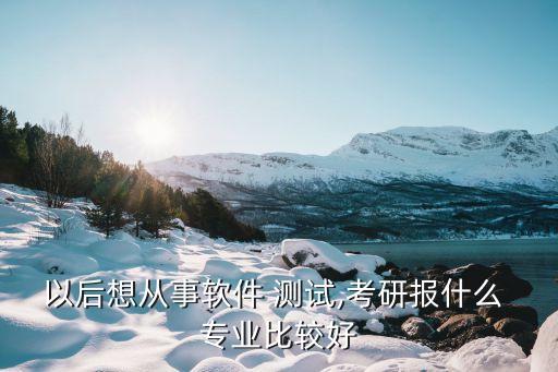 以后想從事軟件 測試,考研報什么 專業(yè)比較好