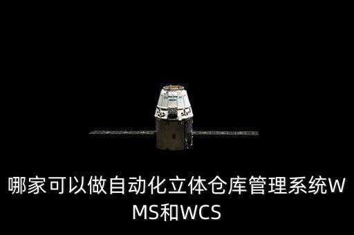 哪家可以做自動化立體倉庫管理系統(tǒng)WMS和WCS