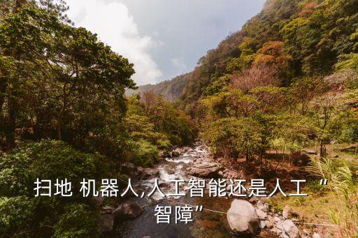  掃地 機器人,人工智能還是人工“智障”
