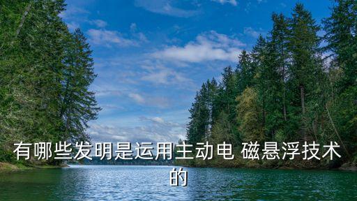 電磁懸浮,寶可夢電磁懸浮