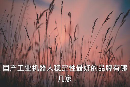 國(guó)產(chǎn)工業(yè)機(jī)器人穩(wěn)定性最好的品牌有哪幾家