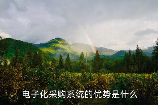 電子化采購系統(tǒng)的優(yōu)勢是什么