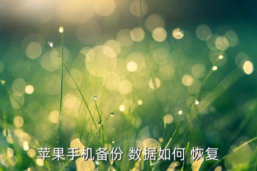 蘋果手機(jī)備份 數(shù)據(jù)如何 恢復(fù)