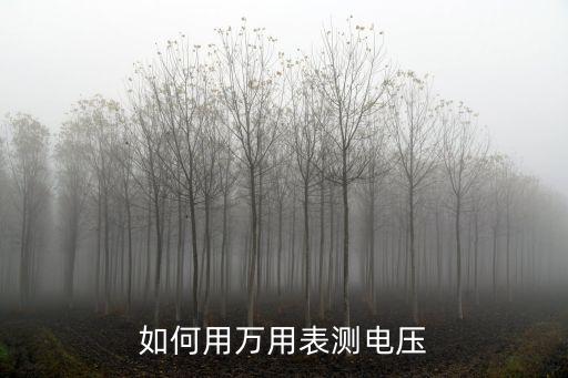 如何用萬用表測電壓