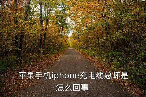  蘋果手機(jī)iphone充電線總壞是怎么回事