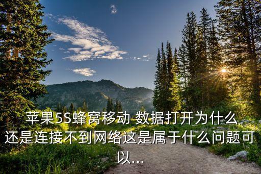  蘋果5S蜂窩移動 數(shù)據(jù)打開為什么還是連接不到網(wǎng)絡這是屬于什么問題可以...