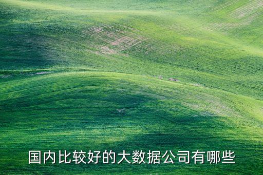 國內(nèi)比較好的大數(shù)據(jù)公司有哪些