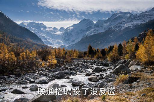 聯(lián)通招聘投了沒反應(yīng)