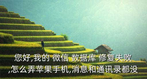 您好,我的 微信 數(shù)據(jù)庫(kù) 修復(fù)失敗,怎么弄蘋果手機(jī),消息和通訊錄都沒(méi)