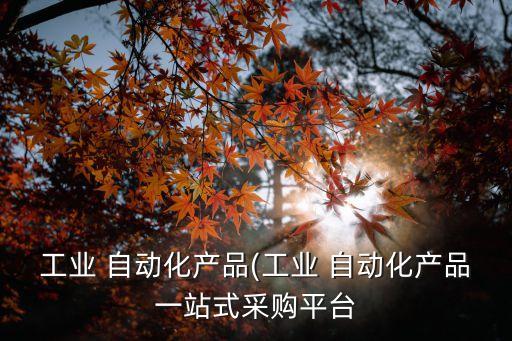 山東氣門自動化設備,氣門自動化生產線
