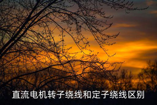 直流電機(jī)轉(zhuǎn)子繞線和定子繞線區(qū)別