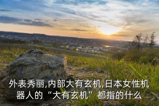 外表秀麗,內(nèi)部大有玄機(jī),日本女性機(jī)器人的“大有玄機(jī)”都指的什么
