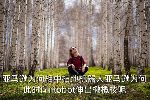 人工智能掃地機器人介紹,掃地機器人是人工智能?