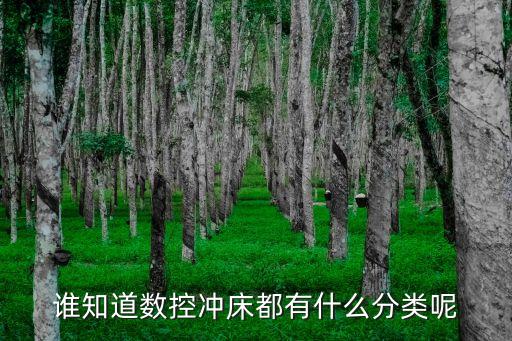 誰知道數(shù)控沖床都有什么分類呢