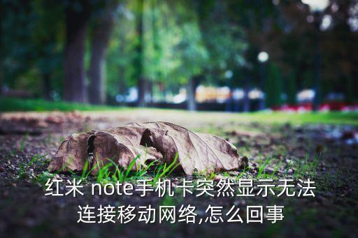 紅米note數(shù)據(jù)連接不上