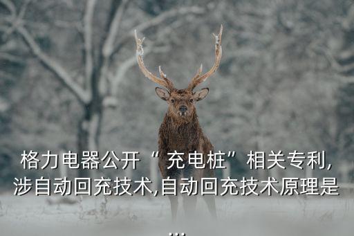 格力電器公開“ 充電樁”相關(guān)專利,涉自動(dòng)回充技術(shù),自動(dòng)回充技術(shù)原理是...