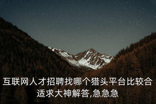 互聯(lián)網(wǎng)人才招聘找哪個獵頭平臺比較合適求大神解答,急急急