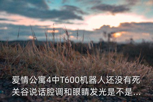 愛情公寓4中T600機(jī)器人還沒有死關(guān)谷說話腔調(diào)和眼睛發(fā)光是不是...