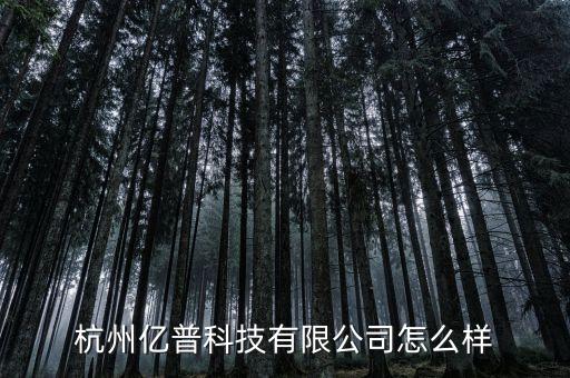 杭州億普科技有限公司怎么樣
