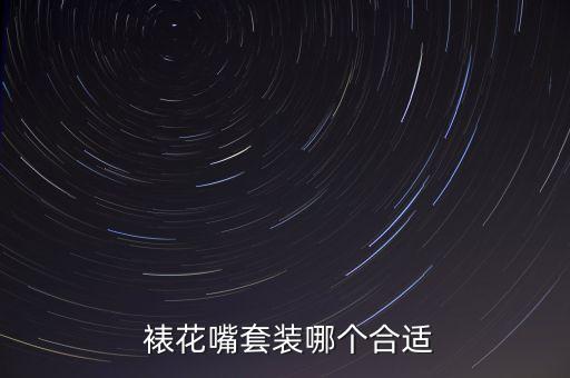 裱花嘴套裝哪個(gè)合適