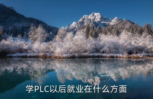 電氣自動(dòng)化plc學(xué)徒,我是電氣自動(dòng)化大三學(xué)生能編程難嗎?