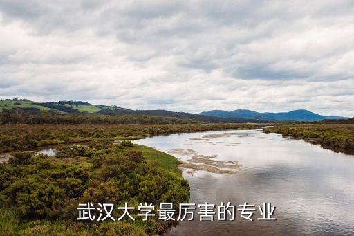 武大自動化專業(yè)保研率,自動化專業(yè)保研率是多少?