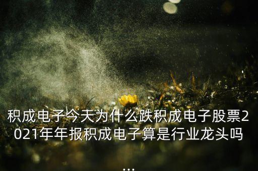 積成電子今天為什么跌積成電子股票2021年年報積成電子算是行業(yè)龍頭嗎...