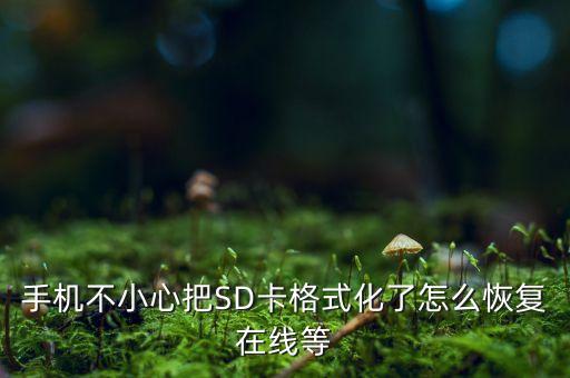 手機(jī)不小心把SD卡格式化了怎么恢復(fù)在線等