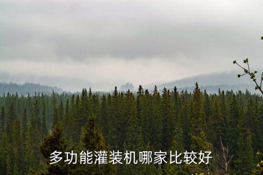 專業(yè)自動(dòng)化灌裝設(shè)備有哪些,全自動(dòng)液體灌裝機(jī)廠家有哪些?