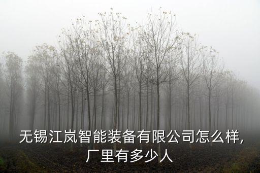  無錫江嵐智能裝備有限公司怎么樣,廠里有多少人